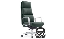 Newman A2415